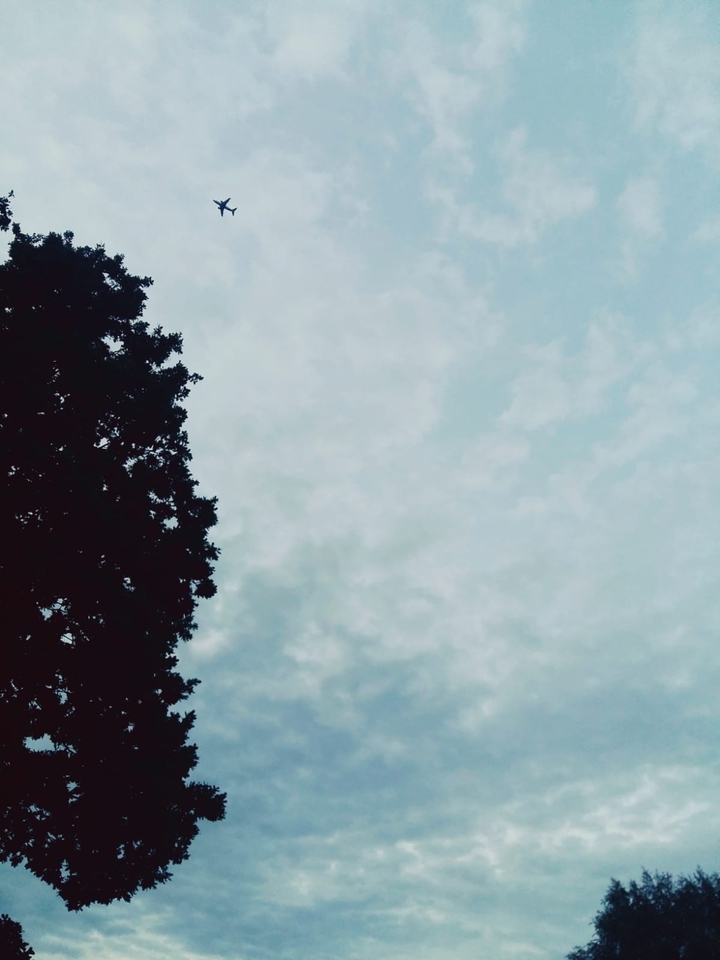 plane
