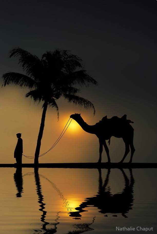 Evening beauty