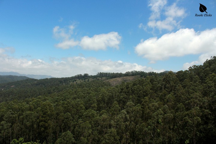 kodaikanal