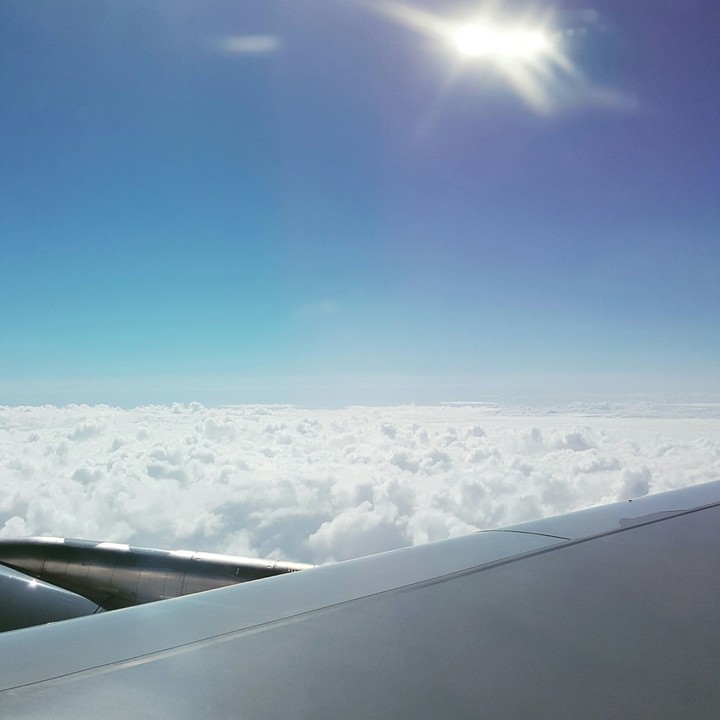 flight