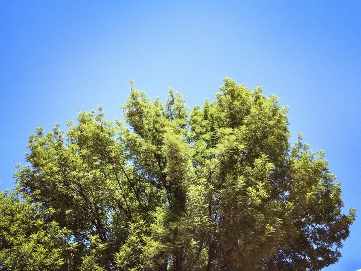 Beautiful Spring