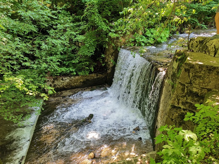 nature
