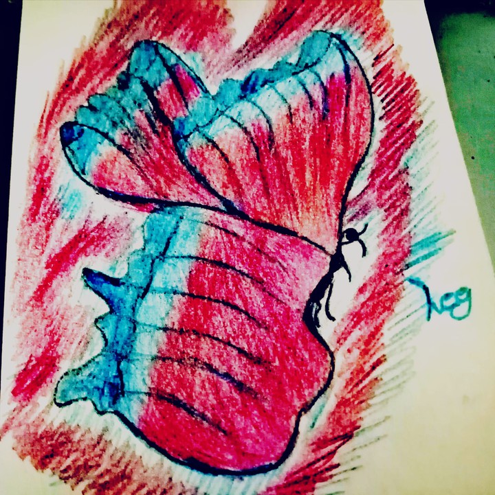 farfalla