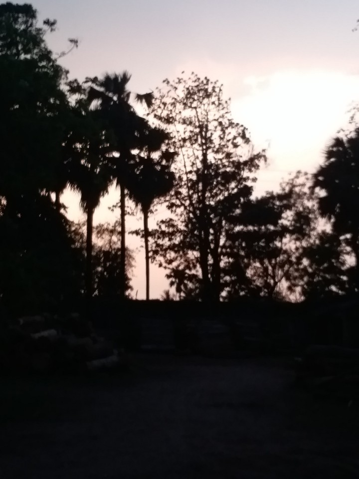evening