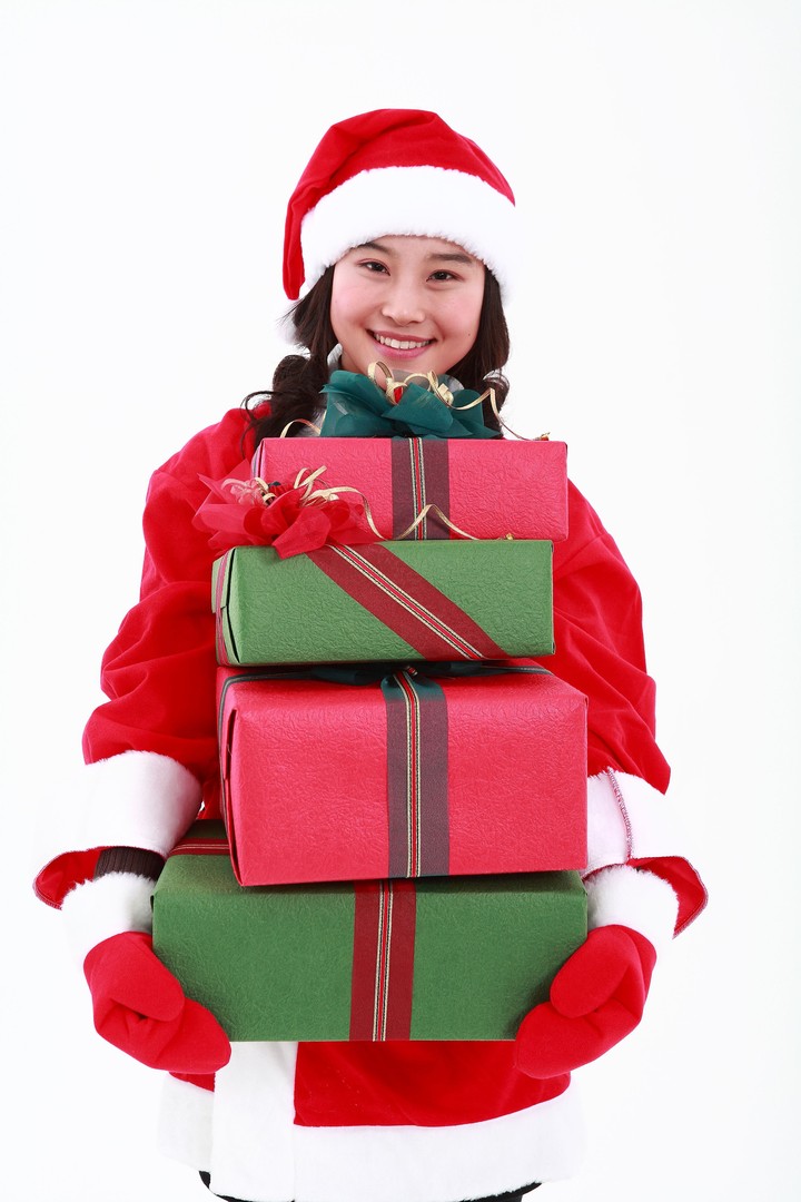 Christmas Costume