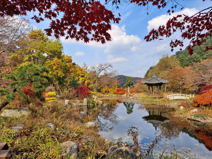 가을풍경