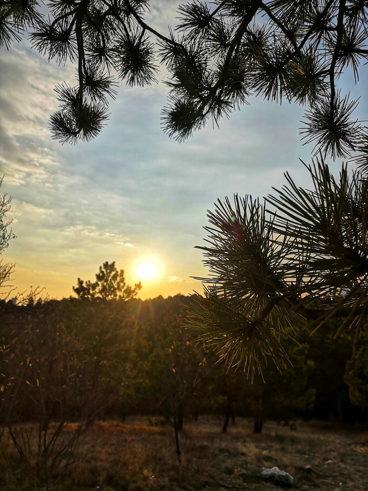 sunset