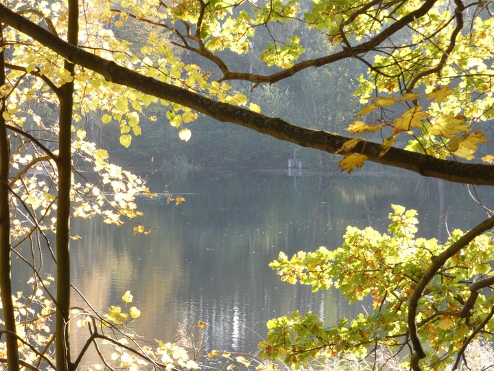 autumn