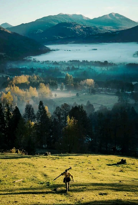 Naturaleza