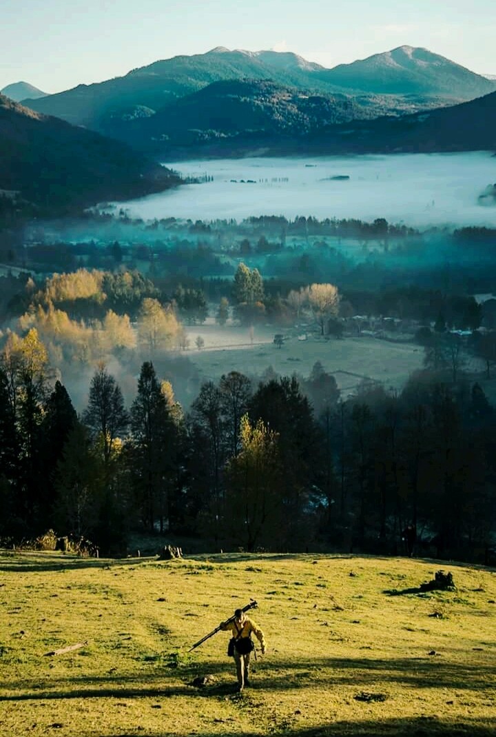 Naturaleza