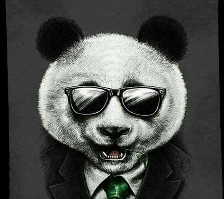 panda