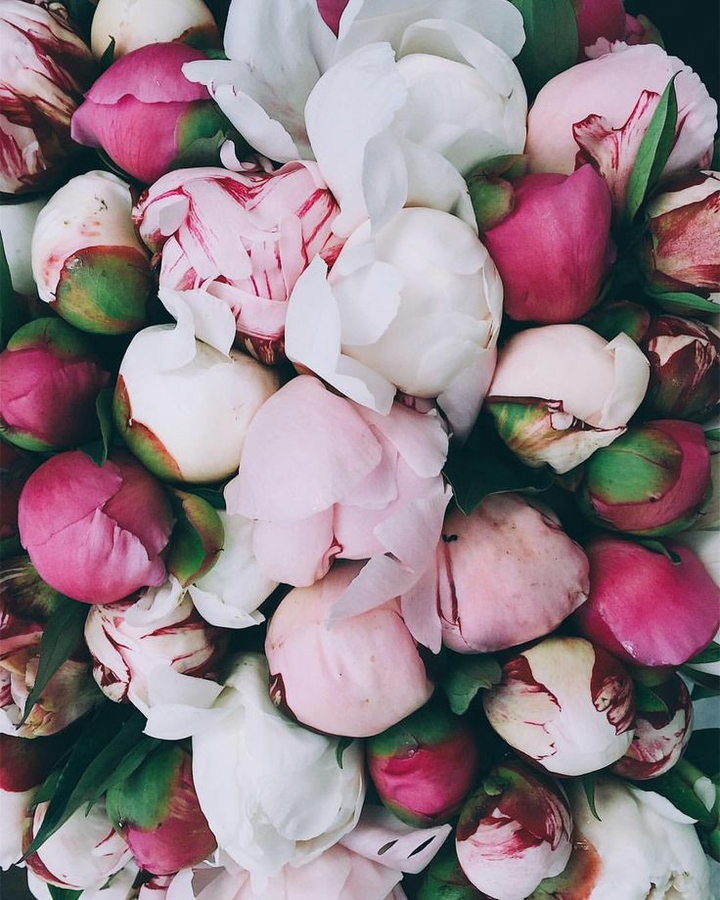 flowers???????