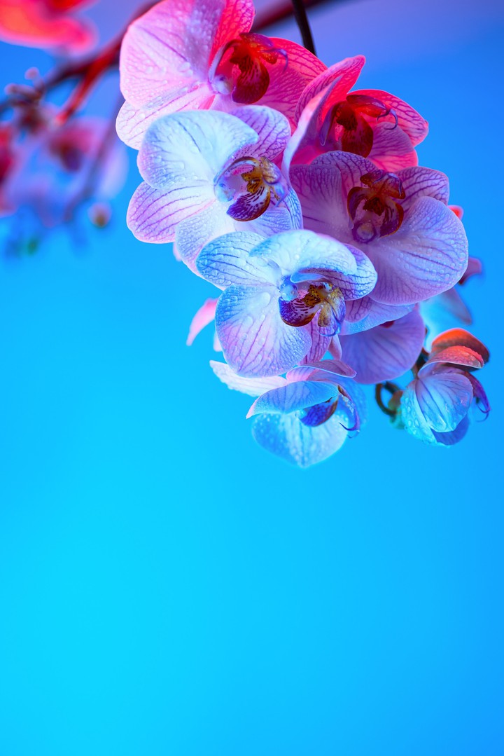 On The Blue