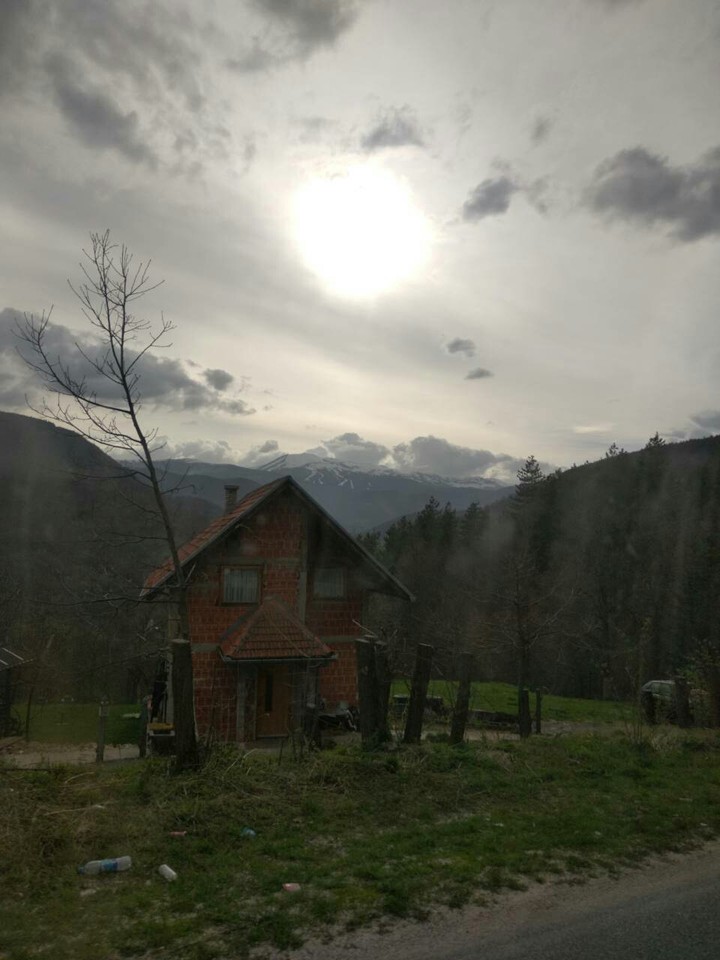 nature 