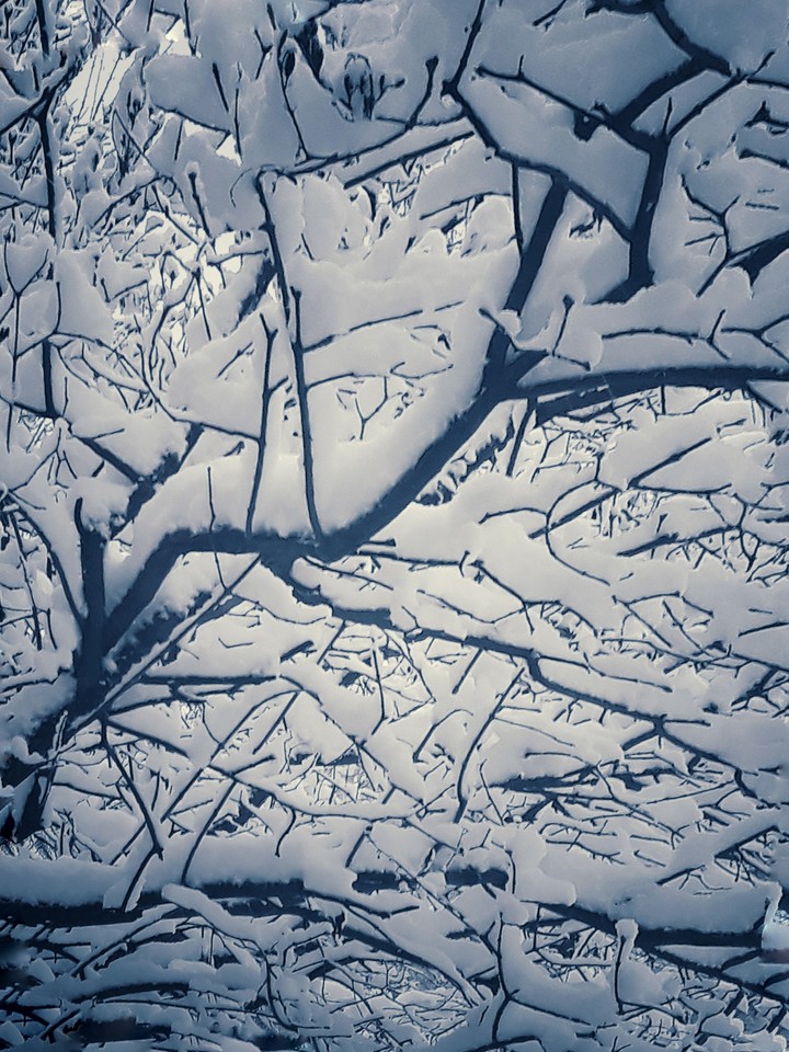 snow