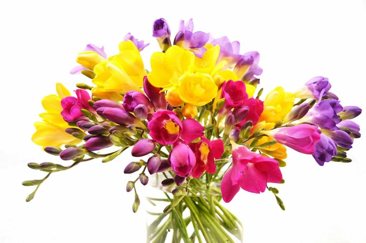 Flowers bouquet
