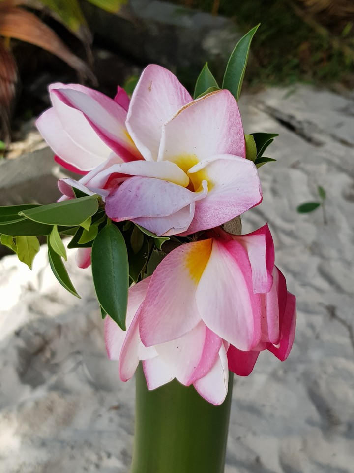 flowers