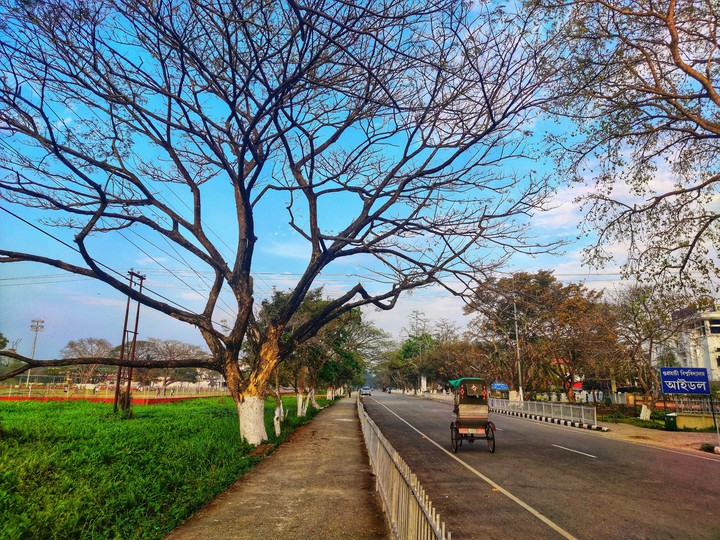 Campus