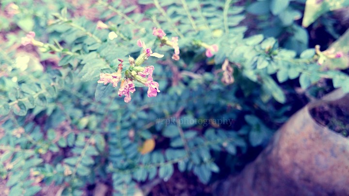 rpk photography