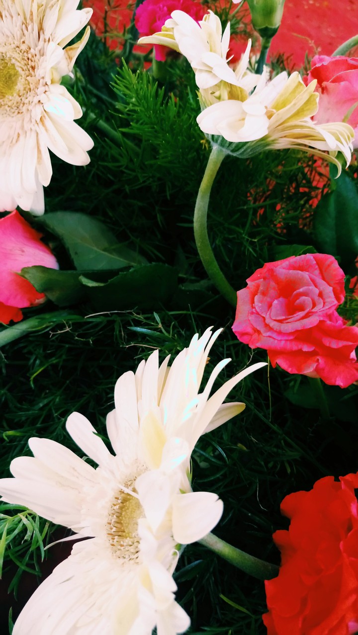 flowers