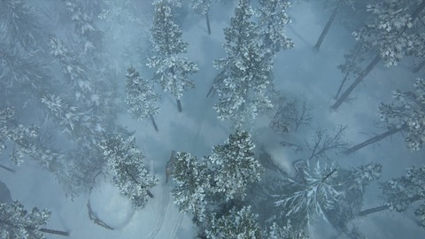 The Last Of Us Part II
