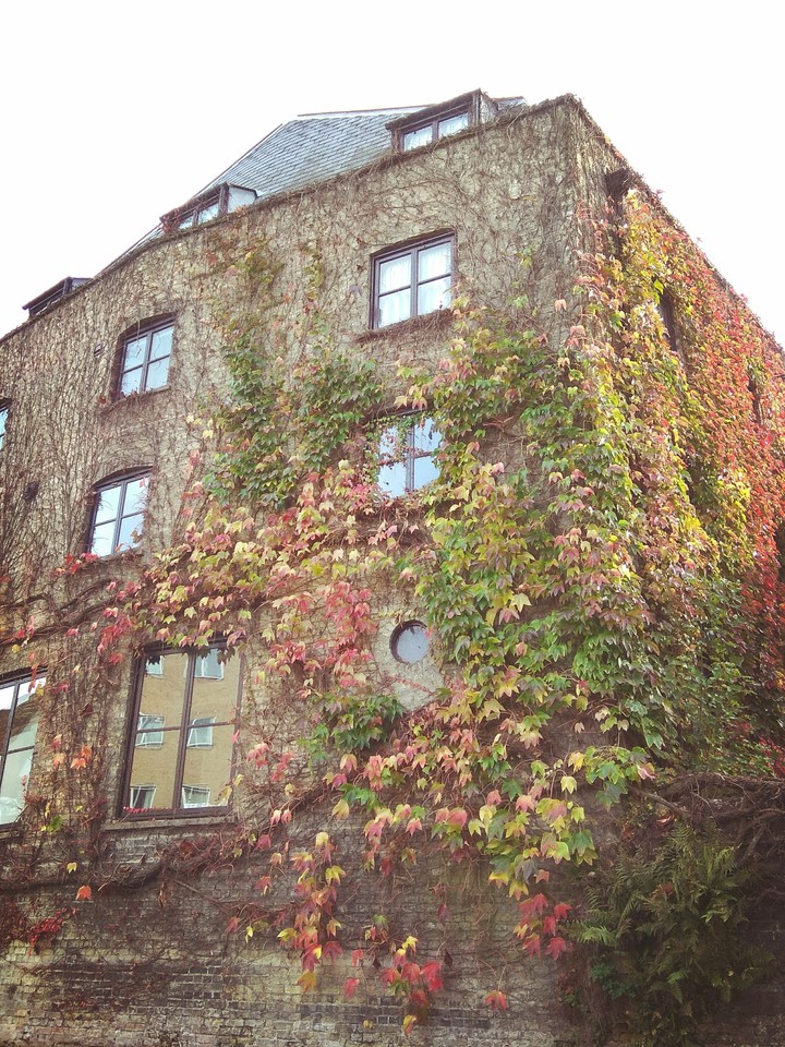 Cambridge building