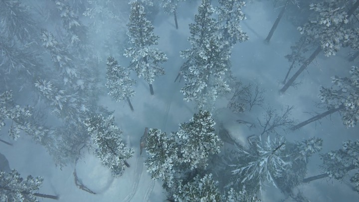 The Last Of Us Part II