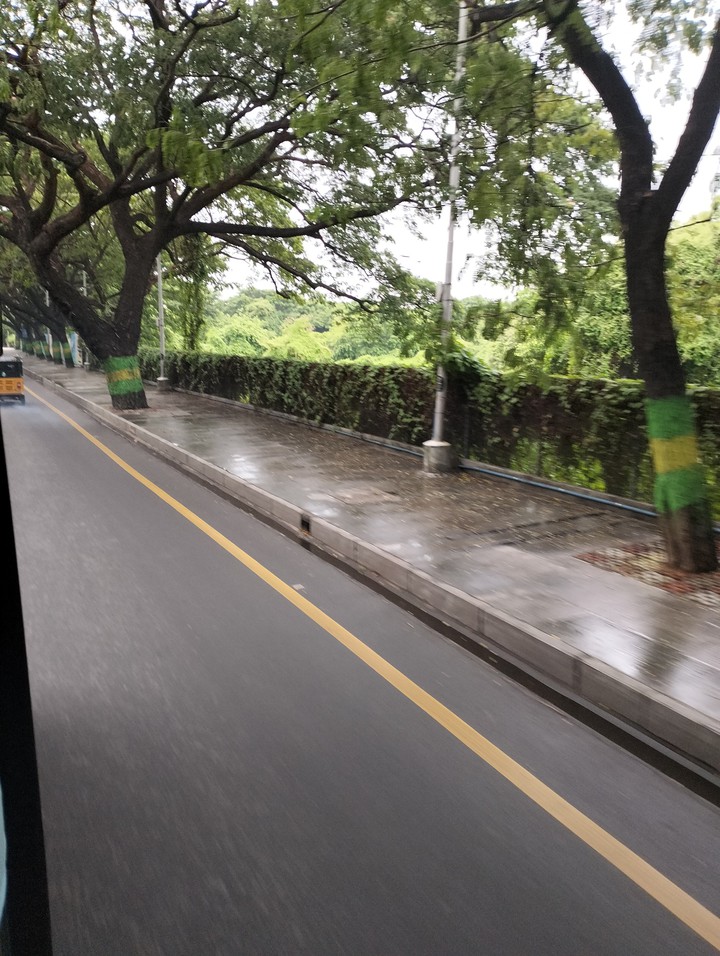 green ?