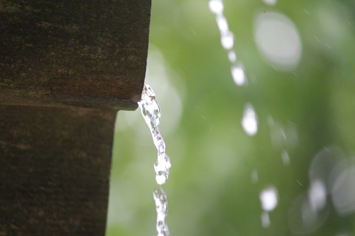 let it fall