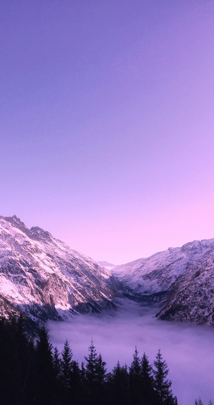 do you love this place?