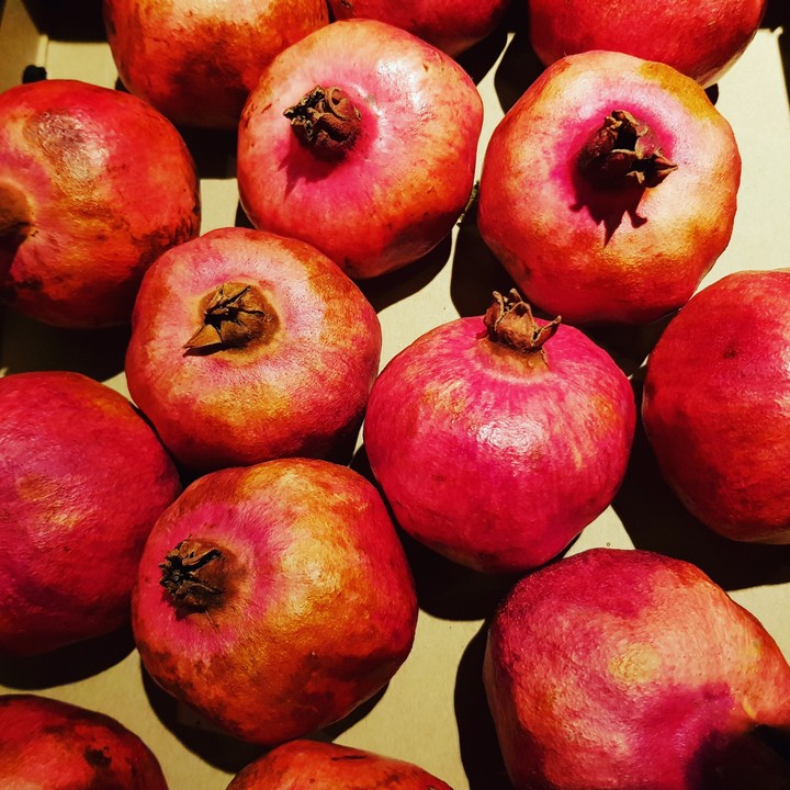 Fantastiske frukter fra Norge