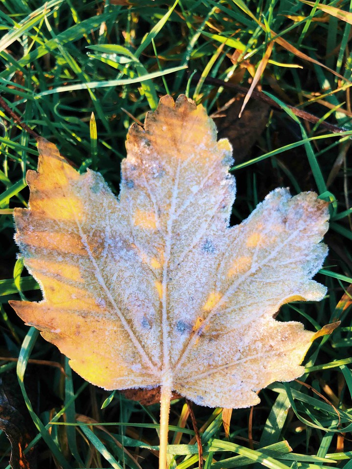 Winter in November