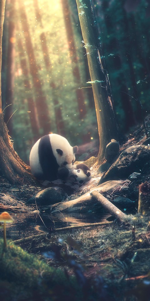 sfondi animation, toy
