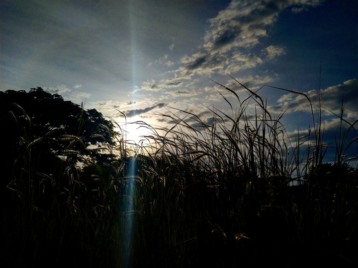 Beautifully uprising sunset.