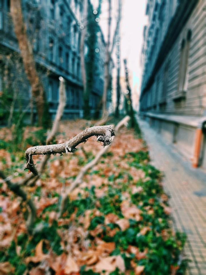 Budapest