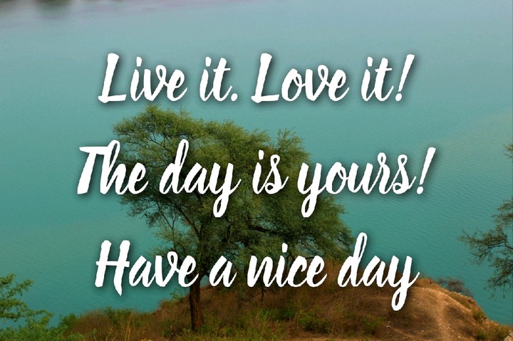 quotes