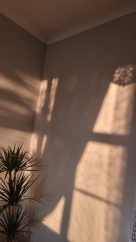 обои daylighting, shadow