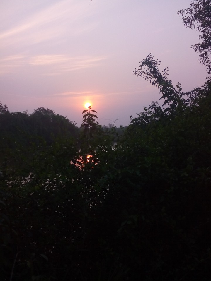 morning