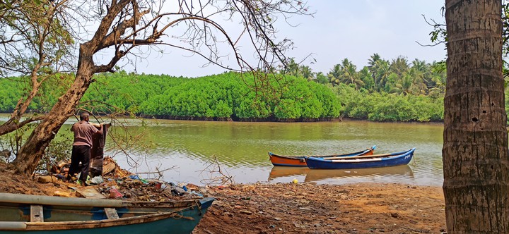 Fisherman