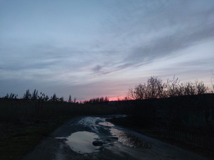 rose sunset