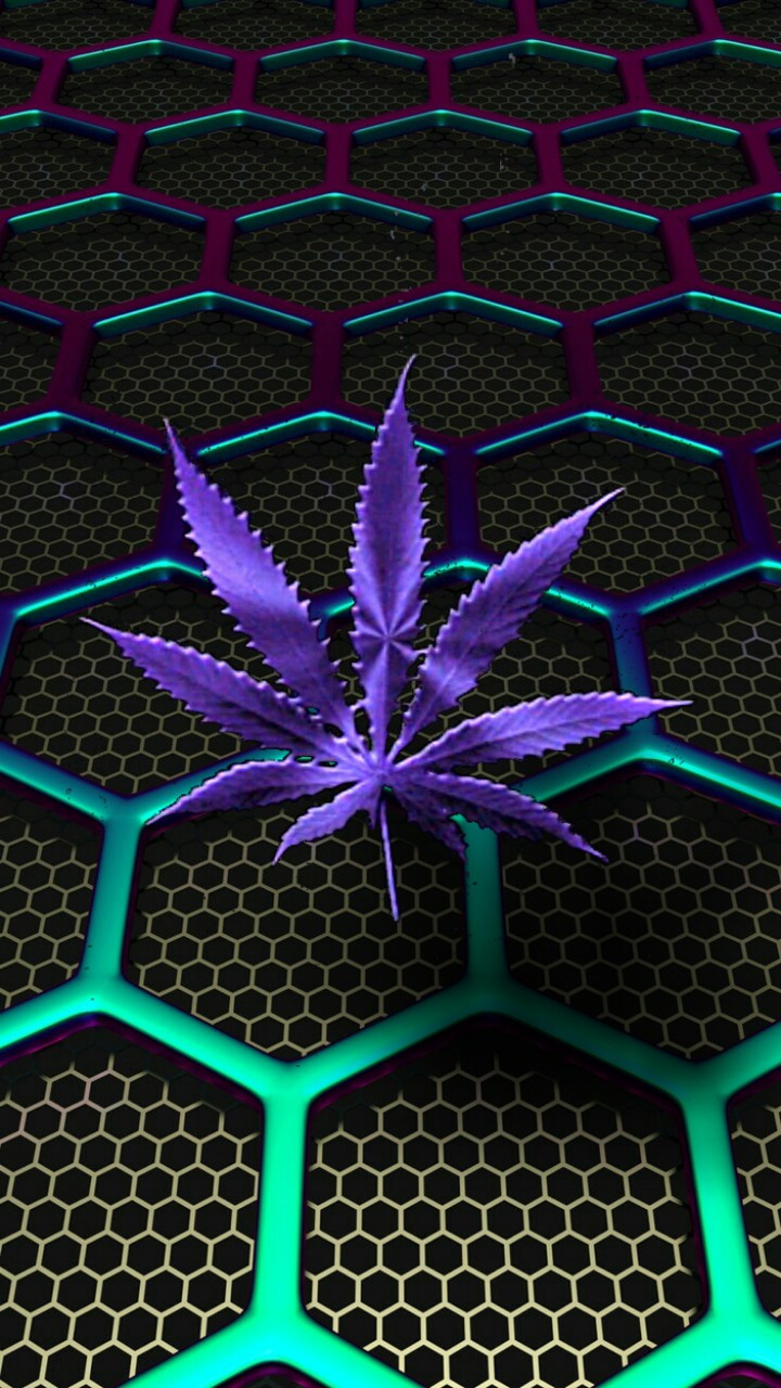 purple weed leaf