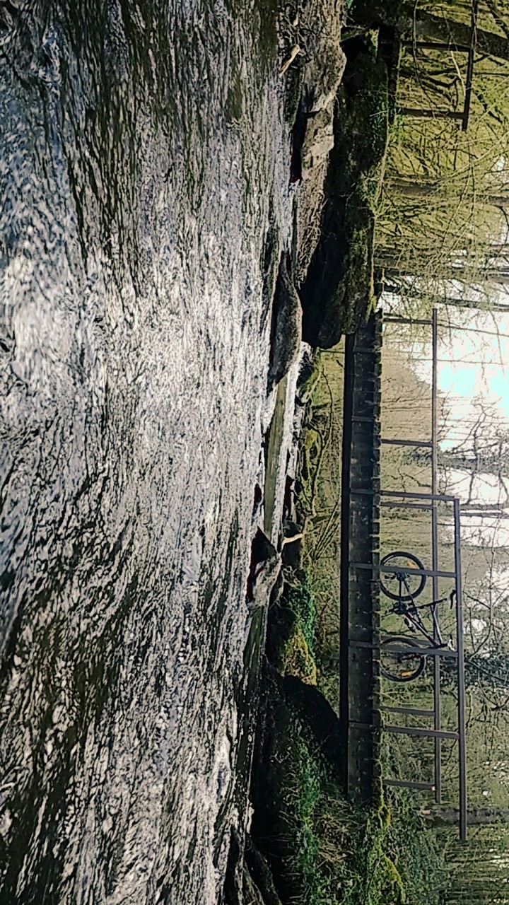 River and wood