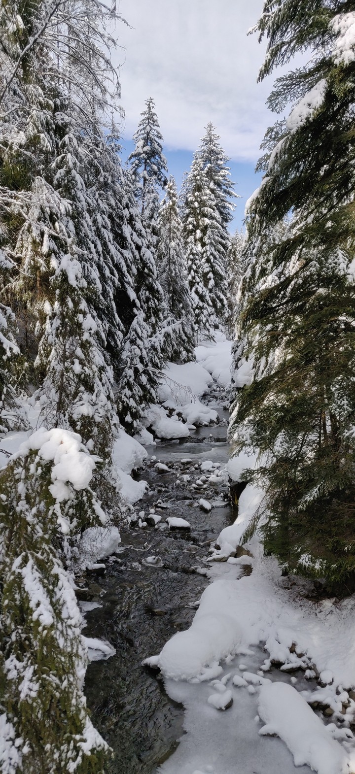 winter at Gorce mountain small river