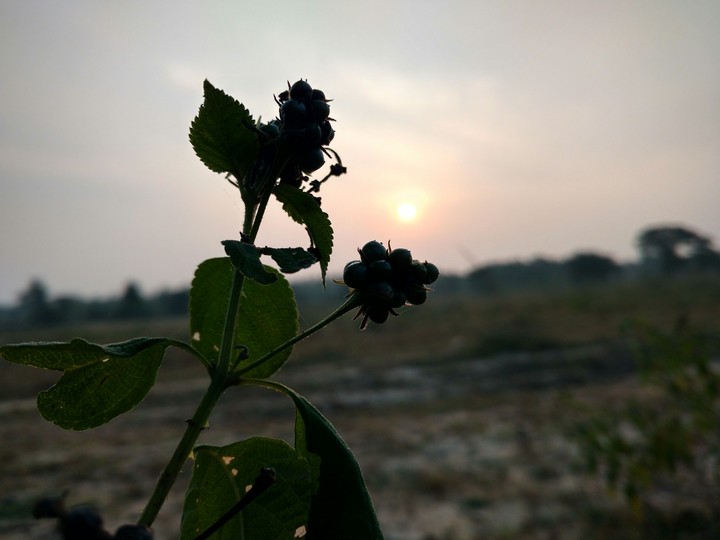 subset