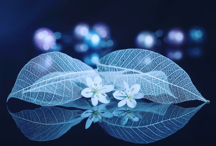 Bluish White
