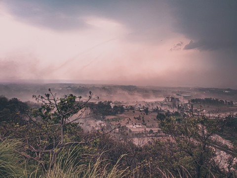 steamy earth