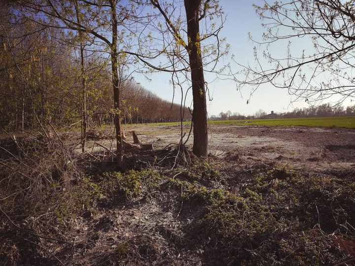 percorso natura