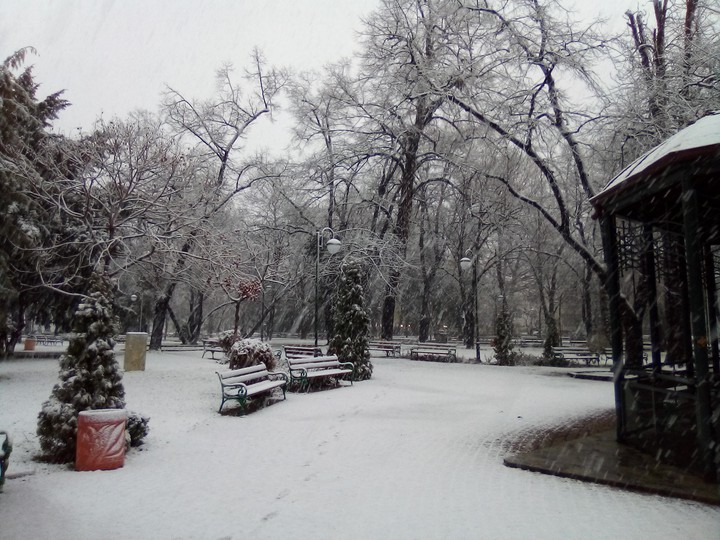 snoww