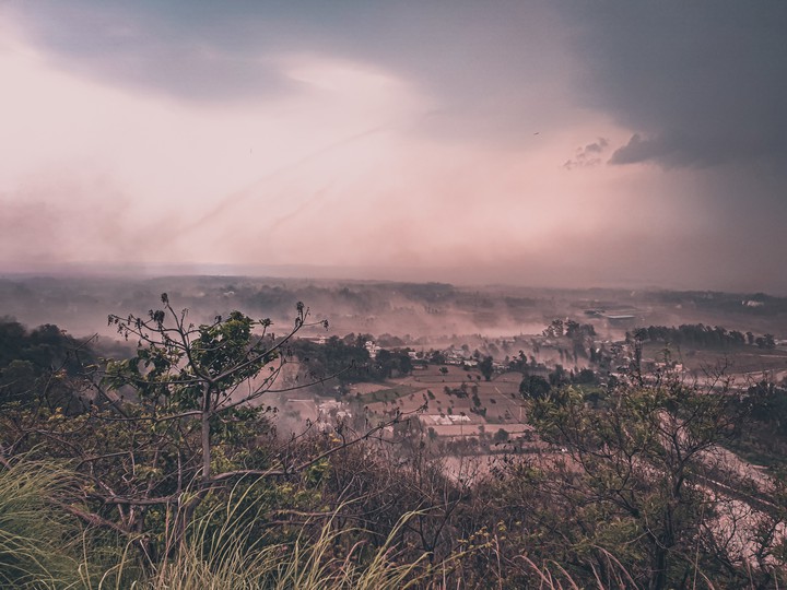 steamy earth