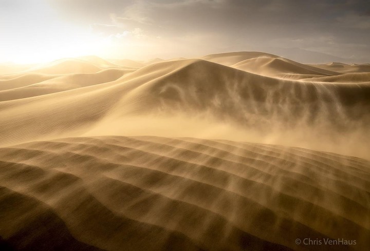 sandstorm